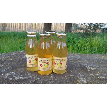 PUR JUS DE POMME CLAIR 25 CL CARTON DE 20 BOUTEILLES