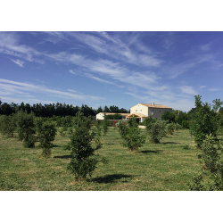 Domaine des Chênes Truffiers