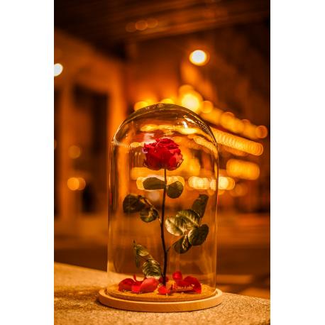 CLOCHE ROSE ETERNELLE ROUGE