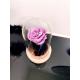 CLOCHE ROSE ETERNELLE ROSE