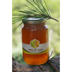Miel de Sapin 250g