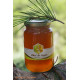 Miel de Sapin 250g