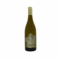 IGP OC SAUVIGNON (bouteille 75cl)