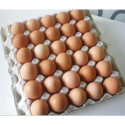 Plaque 30 œufs