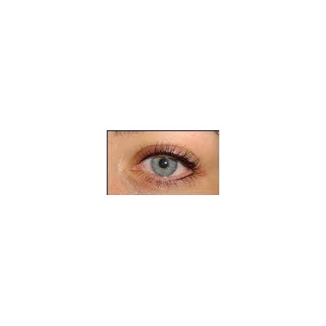 Maquillage permanent eye liner bas Maquillage permanent eye liner bas