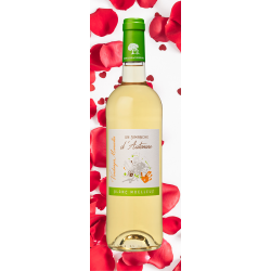 SPECIAL SAINT VALENTIN "Un Dimanche d'Automne avec 2 verres Domaine de Tavernel"