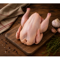 Poulet Fermier élevé en Plein air