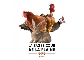 La Basse Cour de la Plaine